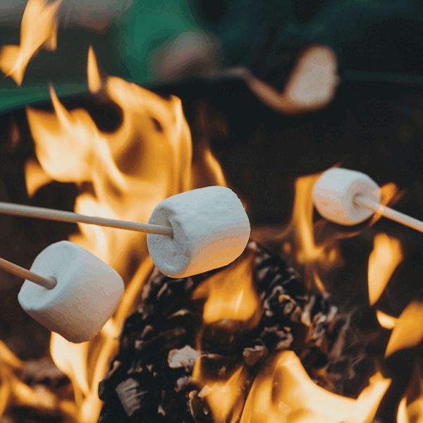 12 Must-have items for your next camping trip